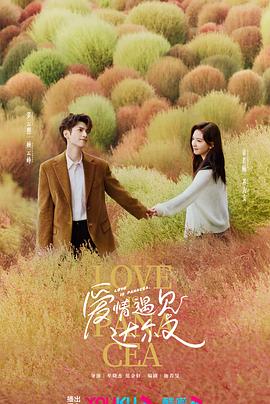 杨紫琼国语高清海报剧照